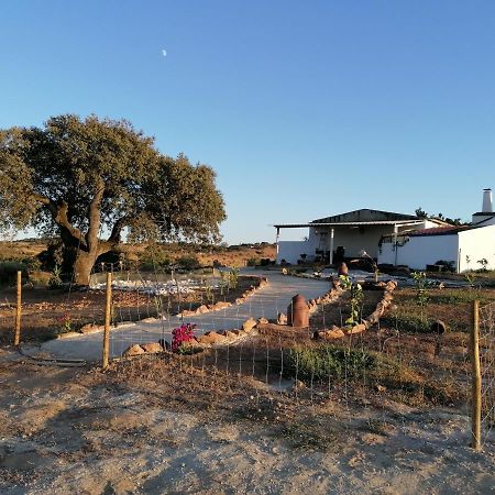Villa Monte Beatriz Reguengos de Monsaraz Esterno foto