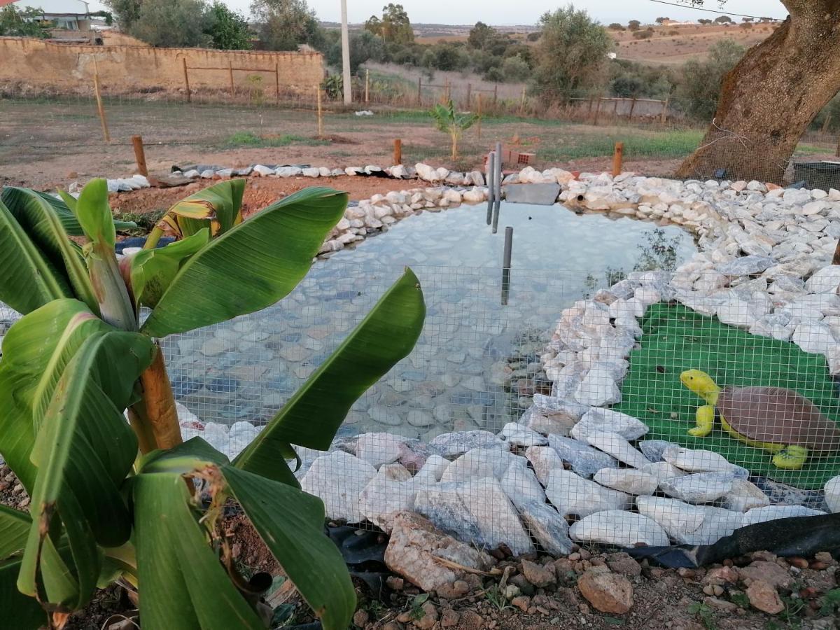 Villa Monte Beatriz Reguengos de Monsaraz Esterno foto
