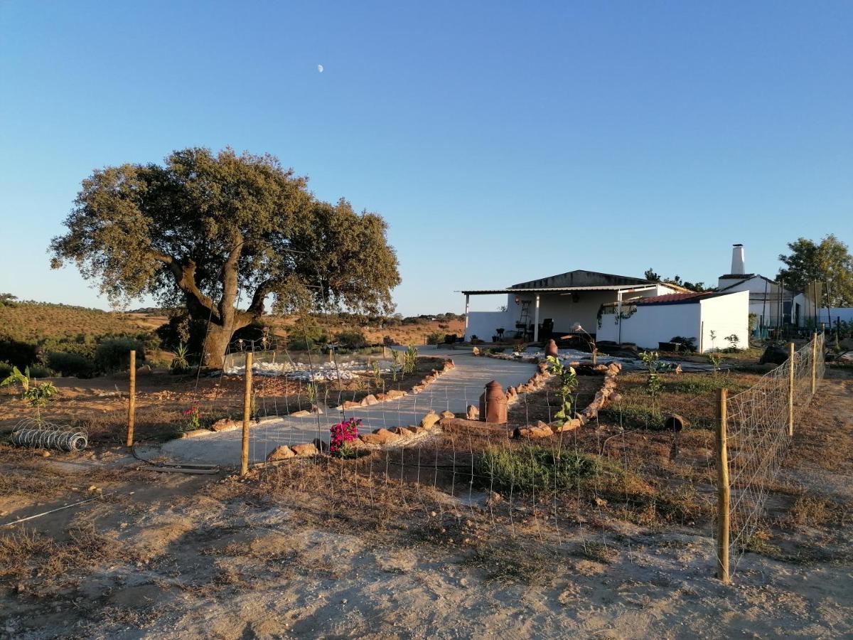 Villa Monte Beatriz Reguengos de Monsaraz Esterno foto
