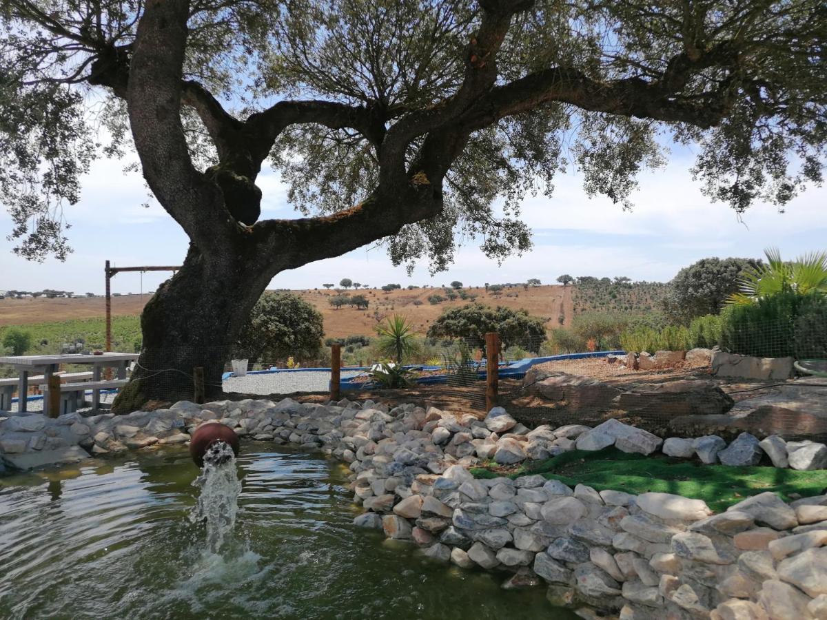 Villa Monte Beatriz Reguengos de Monsaraz Esterno foto
